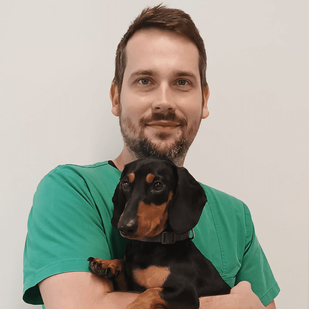 MVDr. Lukáš Marek PgCert. Neuro