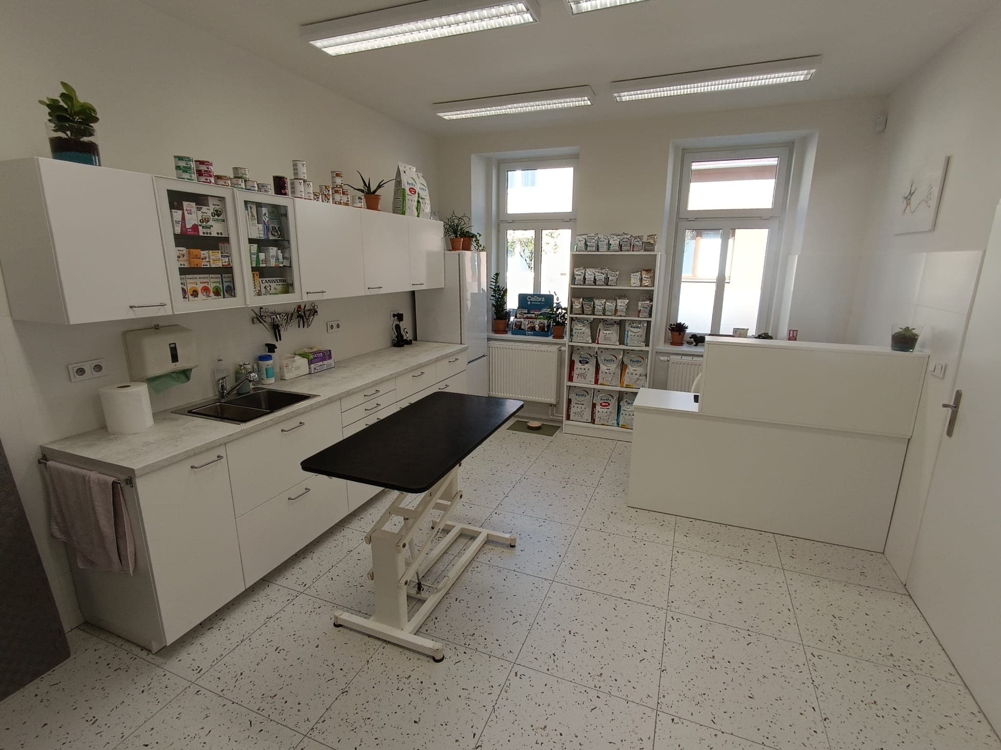 Ambulance kliniky RexCare